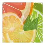 Citrus Fruit Healthy Vitamin Banner and Sign 3  x 3  Front