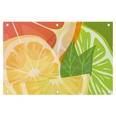 Citrus Fruit Healthy Vitamin Banner And Sign 6  X 4  by Paksenen