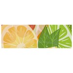 Citrus Fruit Healthy Vitamin Banner and Sign 9  x 3  Front