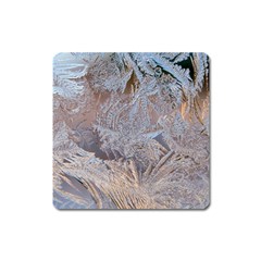 Window Pattern Winter Frost Square Magnet by Paksenen