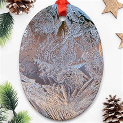 Window Pattern Winter Frost Oval Ornament (two Sides)