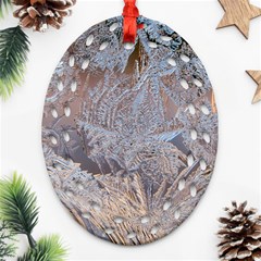 Window Pattern Winter Frost Ornament (oval Filigree)