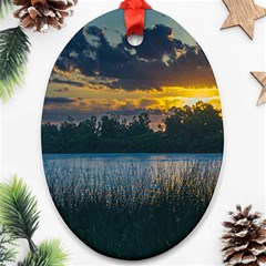 Peaceful Horizons Of Uruguay  Ornament (oval) by dflcprintsclothing