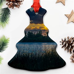 Peaceful Horizons Of Uruguay  Ornament (christmas Tree) 