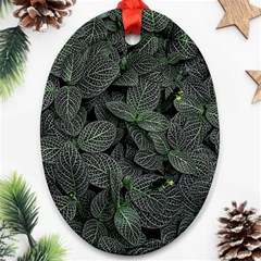 Leaves Plant Foliage Green Ornament (oval)