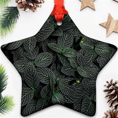 Leaves Plant Foliage Green Ornament (star)