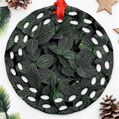 Leaves Plant Foliage Green Round Filigree Ornament (two Sides)