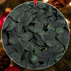 Leaves Plant Foliage Green Uv Print Acrylic Ornament Round by Cemarart