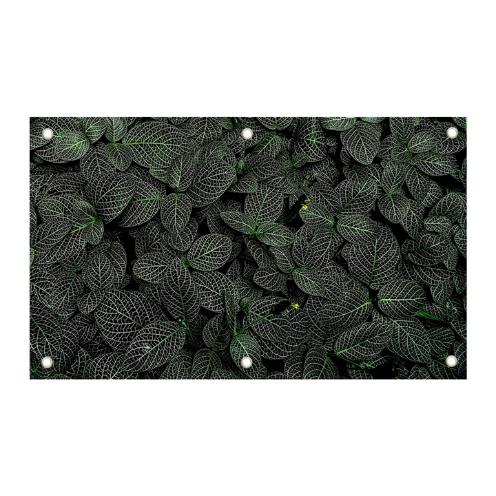 Leaves Plant Foliage Green Banner and Sign 5  x 3 