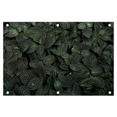 Leaves Plant Foliage Green Banner And Sign 6  X 4  by Cemarart