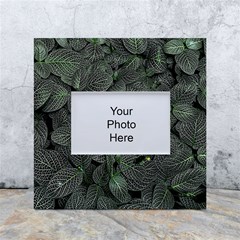 Leaves Plant Foliage Green White Box Photo Frame 4  X 6  by Cemarart