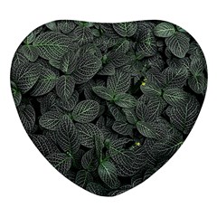 Leaves Plant Foliage Green Heart Glass Fridge Magnet (4 Pack) by Cemarart