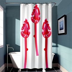 Three Pink Flowers With A Black Background Shower Curtain 36  X 72  (stall) 