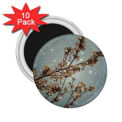 Dreamy Nature Motif 2 25  Magnets (10 Pack) 