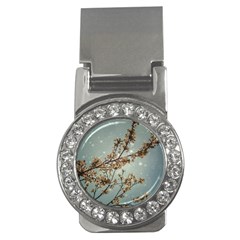 Dreamy Nature Motif Money Clips (cz) 