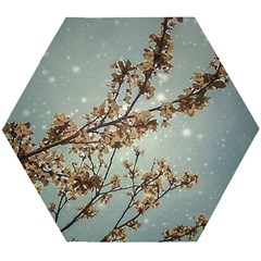 Dreamy Nature Motif Wooden Puzzle Hexagon by dflcprintsclothing