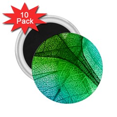 3d Leaves Texture Sheet Blue Green 2 25  Magnets (10 Pack) 