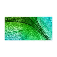 3d Leaves Texture Sheet Blue Green Yoga Headband