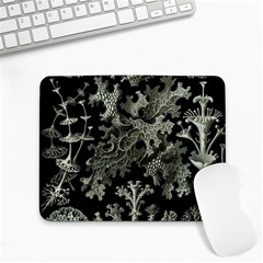 Weave Haeckel Lichenes Photobionten Small Mousepad