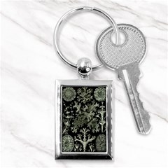 Weave Haeckel Lichenes Photobionten Key Chain (rectangle)