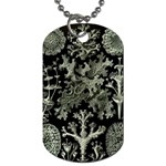 Weave Haeckel Lichenes Photobionten Dog Tag (Two Sides) Front