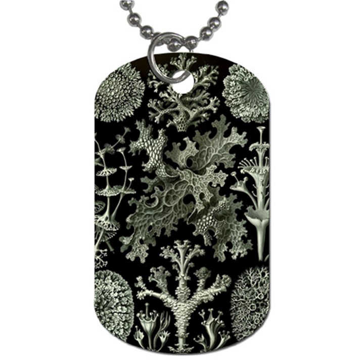 Weave Haeckel Lichenes Photobionten Dog Tag (Two Sides)