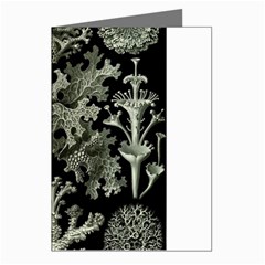 Weave Haeckel Lichenes Photobionten Greeting Cards (pkg Of 8)