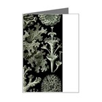 Weave Haeckel Lichenes Photobionten Mini Greeting Card Left