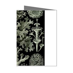 Weave Haeckel Lichenes Photobionten Mini Greeting Cards (pkg Of 8)