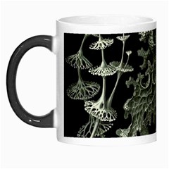 Weave Haeckel Lichenes Photobionten Morph Mug