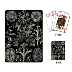 Weave Haeckel Lichenes Photobionten Playing Cards Single Design (rectangle)