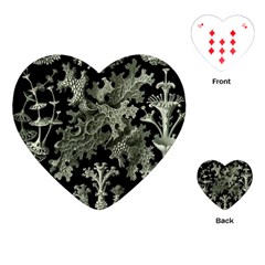 Weave Haeckel Lichenes Photobionten Playing Cards Single Design (heart)