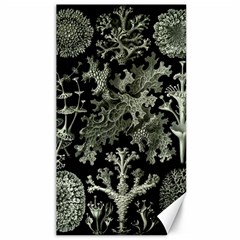 Weave Haeckel Lichenes Photobionten Canvas 40  X 72 