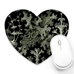 Weave Haeckel Lichenes Photobionten Heart Mousepad