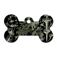 Weave Haeckel Lichenes Photobionten Dog Tag Bone (one Side)