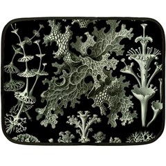 Weave Haeckel Lichenes Photobionten Two Sides Fleece Blanket (mini)