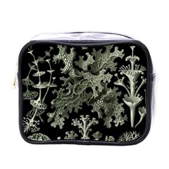 Weave Haeckel Lichenes Photobionten Mini Toiletries Bag (one Side)