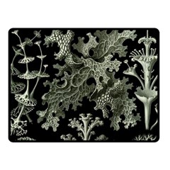 Weave Haeckel Lichenes Photobionten Fleece Blanket (small)