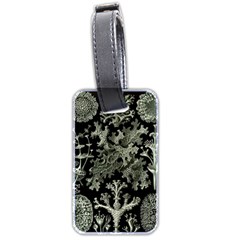 Weave Haeckel Lichenes Photobionten Luggage Tag (two Sides)