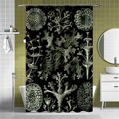 Weave Haeckel Lichenes Photobionten Shower Curtain 48  X 72  (small)  by Cemarart