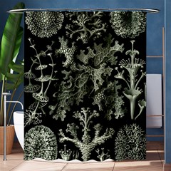 Weave Haeckel Lichenes Photobionten Shower Curtain 60  X 72  (medium) 