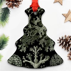 Weave Haeckel Lichenes Photobionten Ornament (christmas Tree) 