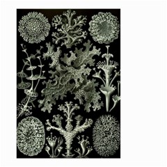 Weave Haeckel Lichenes Photobionten Small Garden Flag (two Sides)