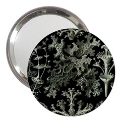 Weave Haeckel Lichenes Photobionten 3  Handbag Mirrors