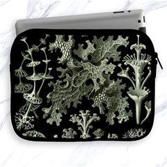 Weave Haeckel Lichenes Photobionten Apple Ipad 2/3/4 Zipper Cases