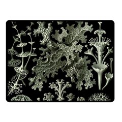 Weave Haeckel Lichenes Photobionten Two Sides Fleece Blanket (small)