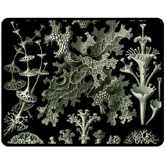 Weave Haeckel Lichenes Photobionten Two Sides Fleece Blanket (medium)