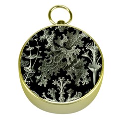 Weave Haeckel Lichenes Photobionten Gold Compasses