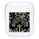 Weave Haeckel Lichenes Photobionten Hard PC AirPods 1/2 Case Front