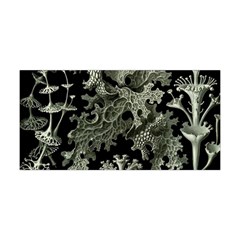 Weave Haeckel Lichenes Photobionten Yoga Headband